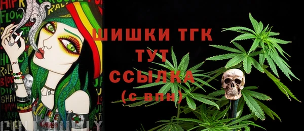 прущая мука Няндома