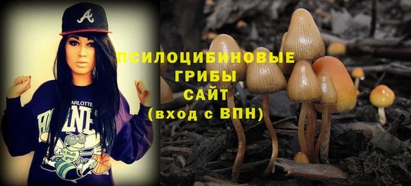 кристаллы Новозыбков