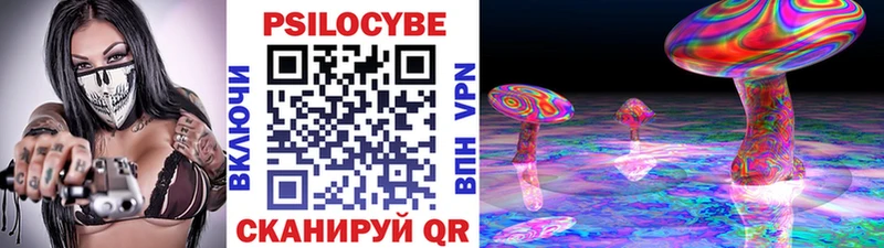 Купить где  Зеленогорск  Псилоцибиновые грибы Psilocybine cubensis 